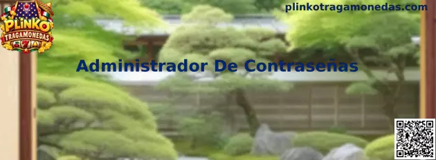 Guía de Administrador De Contraseñas para proteger accesos digitales en Plinko Tragamonedas